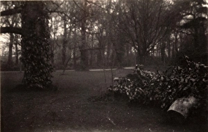 John Fletcher Collection - 'Wanderings In Sussex' Prints: Grounds of Aldwick Manor, 1909