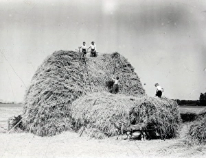 Harvest Helpers - September 1944