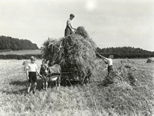 Harvest Helpers - September 1944