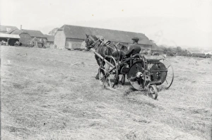 Farmer Prints: Haymaking on the West Sussex County Councils demonstration farm at Chichester