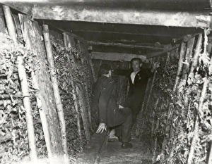Protection Prints: Heyshott Air Raid Shelter - August 1940
