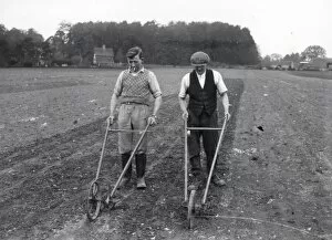 Images Dated 9th March 2015: Hoeing at Burton - about 1939