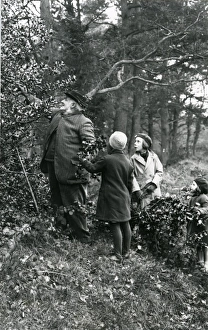 Country Prints: Holly gathering in woods at Upperton, Sussex, December 1935