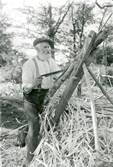 Craft Prints: Hoopshaver at Balls Cross, Sussex