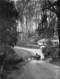 Images Dated 24th July 2013: Horse and wagon in a country lane in Dean, Sussex, January 1935