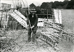 Hurdle maker at Up Waltham, Sussex, c1920s