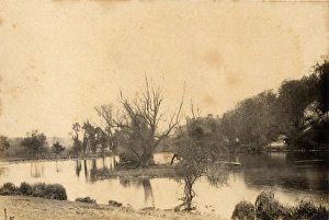 The lake at Arundel Park, 18 April 1892