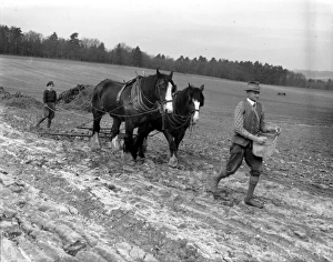 Farmer Prints: Land Girl at Cowdray