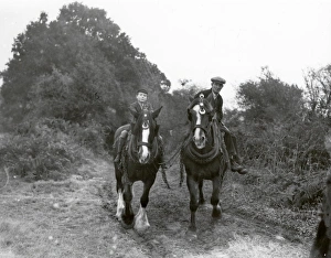 Lane at Woolbeding – October 1939 Lane at Woolbeding – October 1939