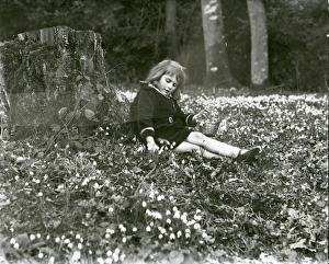 Trees Prints: Little girl picking snowdrops in a wood, 1931