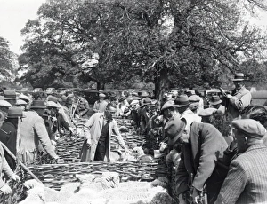 Loxwood Show - May 1946