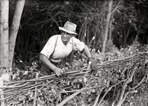 Images Dated 28th January 2013: Man making a fence at West Grinstead Ploughing Match