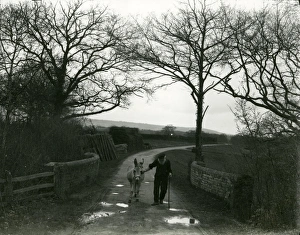 Man walking donkey over Pipers Bridge