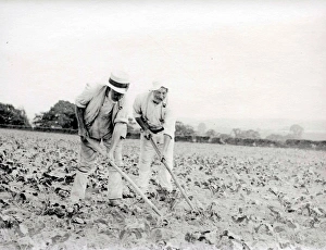 Hats Prints: Two men hoeing a field in Sussex