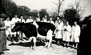 Uniform Prints: Midhurst Young Farmers Club test for Royal Show representatives