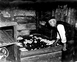 Bucket Prints: Mushrooms with grower