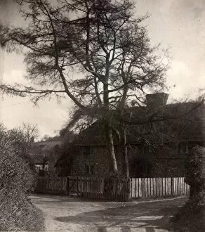 Images Dated 20th February 2015: Old cottage at Charlton, 1909