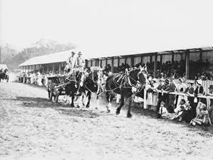 Images Dated 8th March 2013: Parade of horseteams and hay wagons at the Sussex Show, 1938