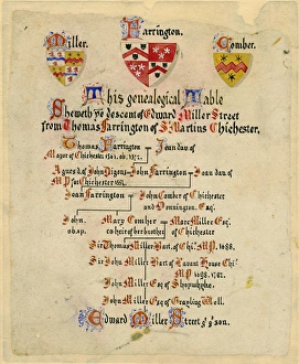 Pedigree of Edward Miller Street of Chichester, 1880