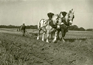 Petworth and District Ploughing Match - 2nd October 1948