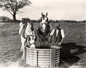 Petworth Ploughing Match