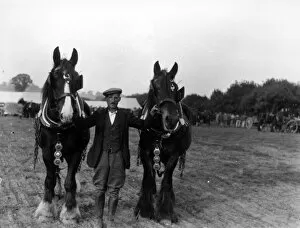 Images Dated 16th August 2012: Petworth Ploughing Match, October 1937