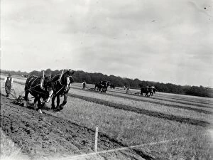 Images Dated 26th February 2015: Petworth Ploughing Match - October 1938