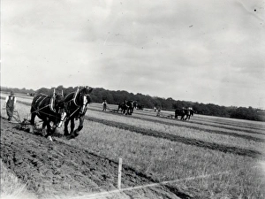 Petworth Ploughing Match - October 1938 Petworth Ploughing Match - October 1938