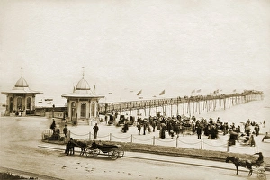 Horses Prints: Pier