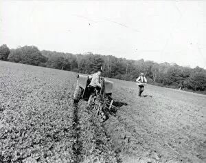 Images Dated 26th February 2015: Ploughing at Wardrops Farm - October 1938