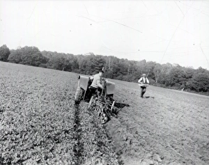 Sussex Show - 1938