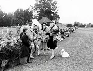Images Dated 16th March 2015: Polo at Cowdray - 1939