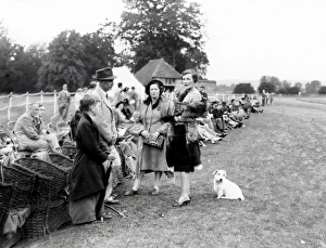 Polo at Cowdray - 1939 Polo at Cowdray - 1939