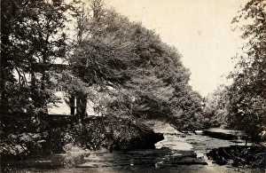 Water Prints: The mill pond at Plumpton Place, 22 June 1894
