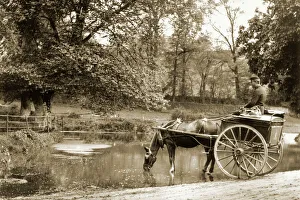 postman horse drawn cart findon near worthing