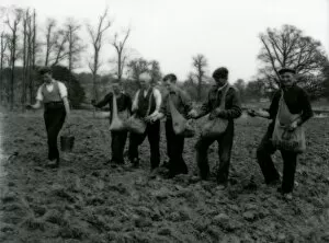 Images Dated 2nd July 2015: Potato Planting in Burton Park - March 1948