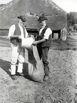 Images Dated 24th July 2013: Potatoes being bagged on a farm