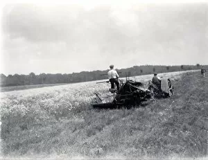 Images Dated 8th March 2013: Pyrethrum cutting at Fittleworth, with a Fordson tractor. June 1937