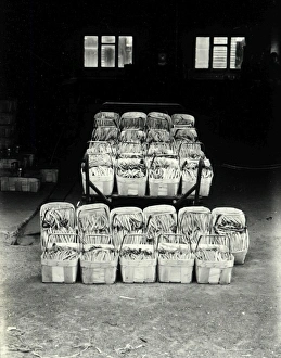 Ready for market - 13 May 1946