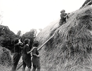 Straw Prints: Rick Thatching