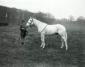 Images Dated 22nd August 2014: Rider with grey horse at Shillinglee, February 1938