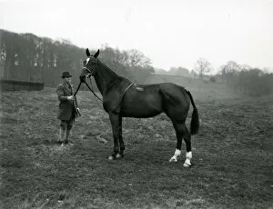 Images Dated 22nd August 2014: Rider with horse in a field at Shillinglee, February 1938