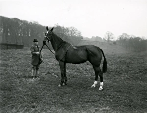 Rider with horse in a field at Shillinglee, February 1938 Rider with horse in a field at Shillinglee, February 1938