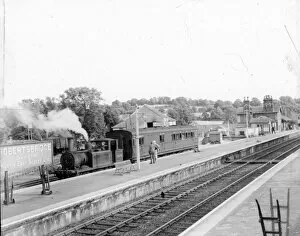 Ronald Shephard Railway Collection: Robertsbridge Station c. 1952
