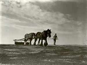 Rolling at Egdean - 11 April 1945 Rolling at Egdean - 11 April 1945
