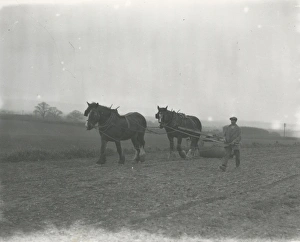 Farmer Prints: Rolling Spring corn at Soanes Farm Petworth, April 1934