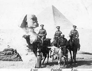 Images Dated 1st August 2014: RSR 16th Battalion, Sussex Yeomanry, Sergeants on camels at Giza