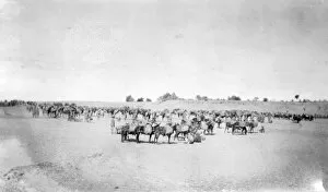 Images Dated 30th September 2014: RSR 2 / 6th Battalion, Arrival at Camping Ground of 1st and 2nd Line Transports, 1917