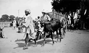 Images Dated 2nd September 2014: RSR 2 / 6th Battalion, Bullock Cart, Cubbon Town, 1916