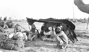 Images Dated 12th May 2015: RSR 2 / 6th Battalion, Camel Drivers